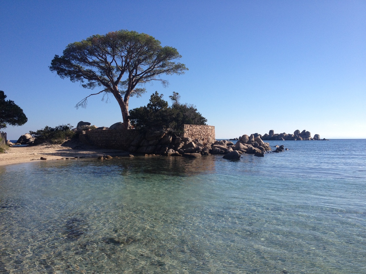 Photo France Corse Palombaggia 2012-09 32