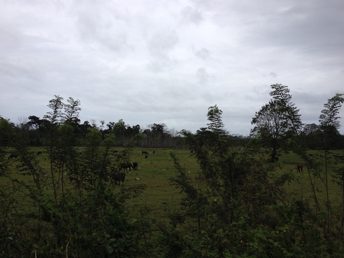 Photo Panama David à Bocas del toro 2015-03 73