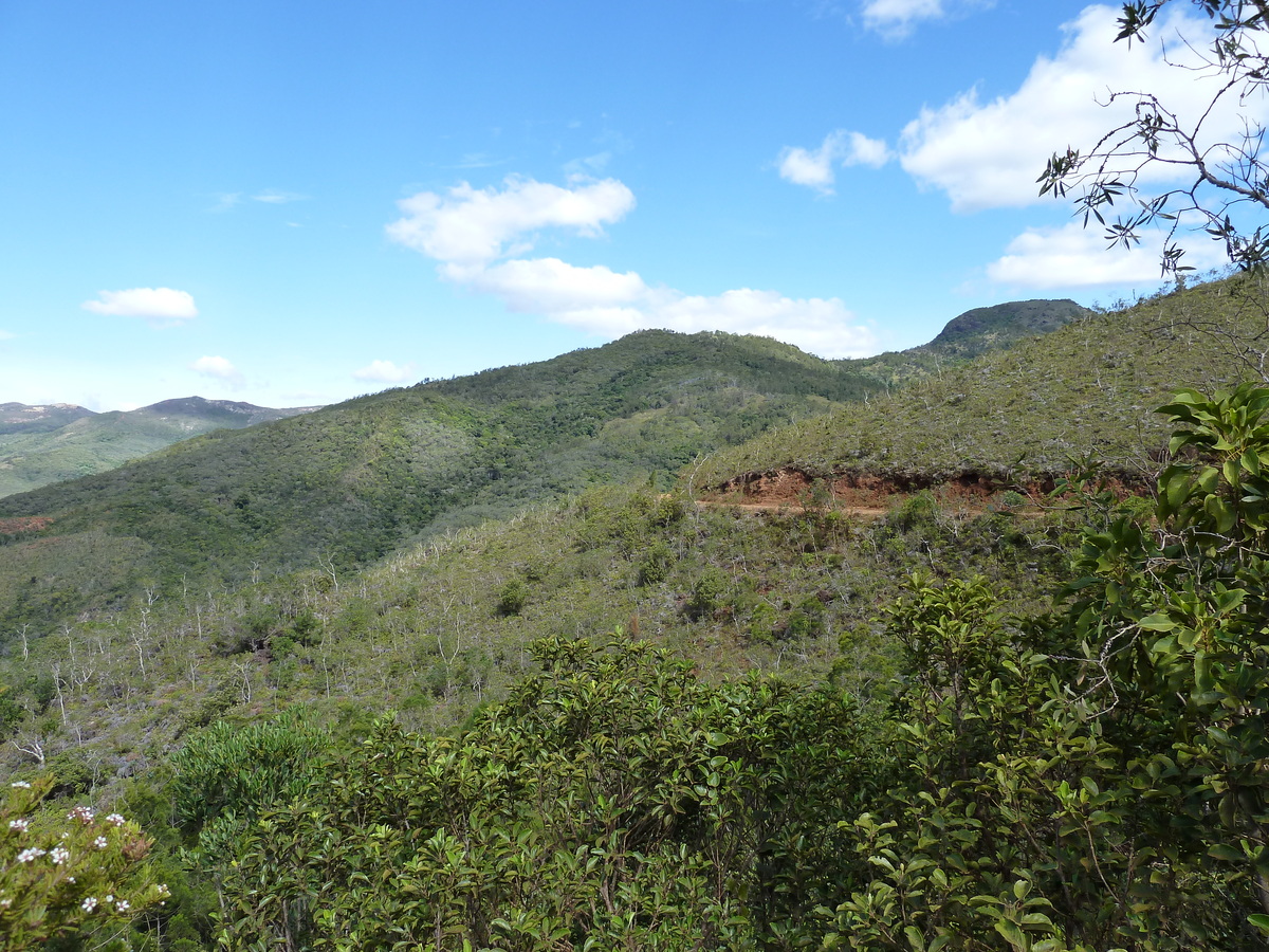 Photo Nouvelle-Calédonie route de Thio à Canala 2010-05 39