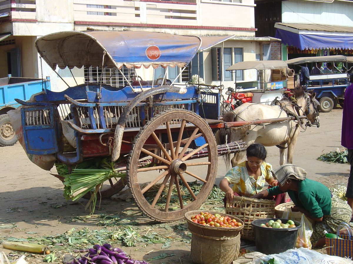 Photo Birmanie (Myanmar) Dawei (TAVOY) 2005-01 84