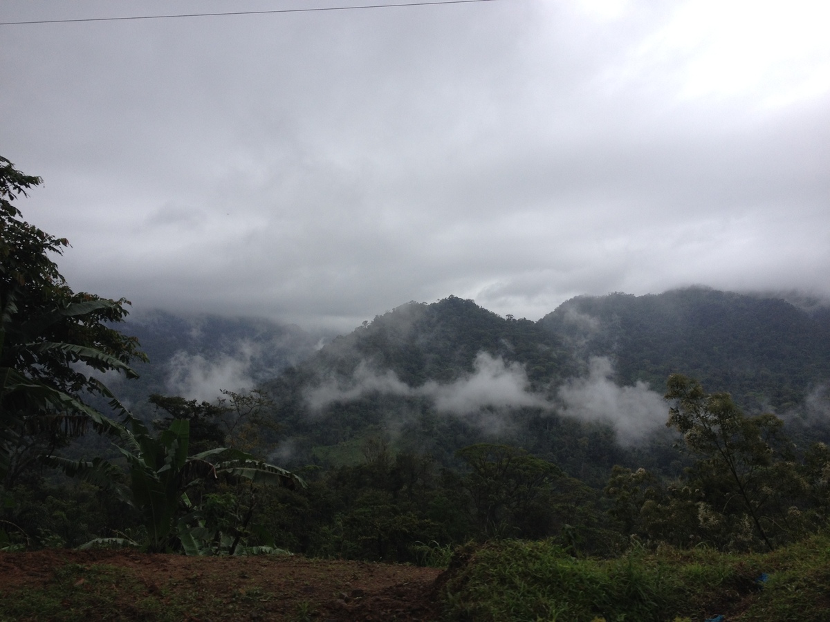 Photo Panama David à Bocas del toro 2015-03 47