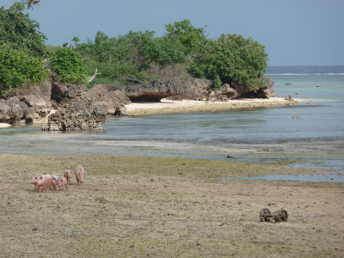 Photo Îles Fidji 2010-05 73