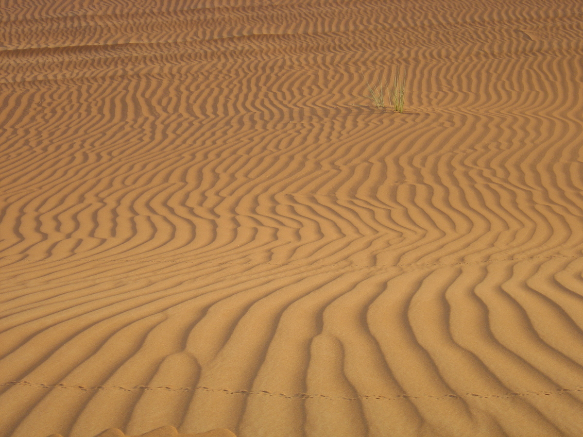 Photo Émirats arabes unis Al Ain Desert 2005-11 4