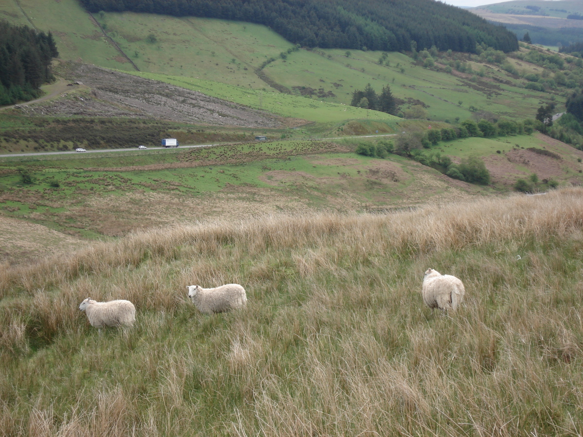 Photo Royaume-Uni Parc national des Brecon Beacons 2006-05 92