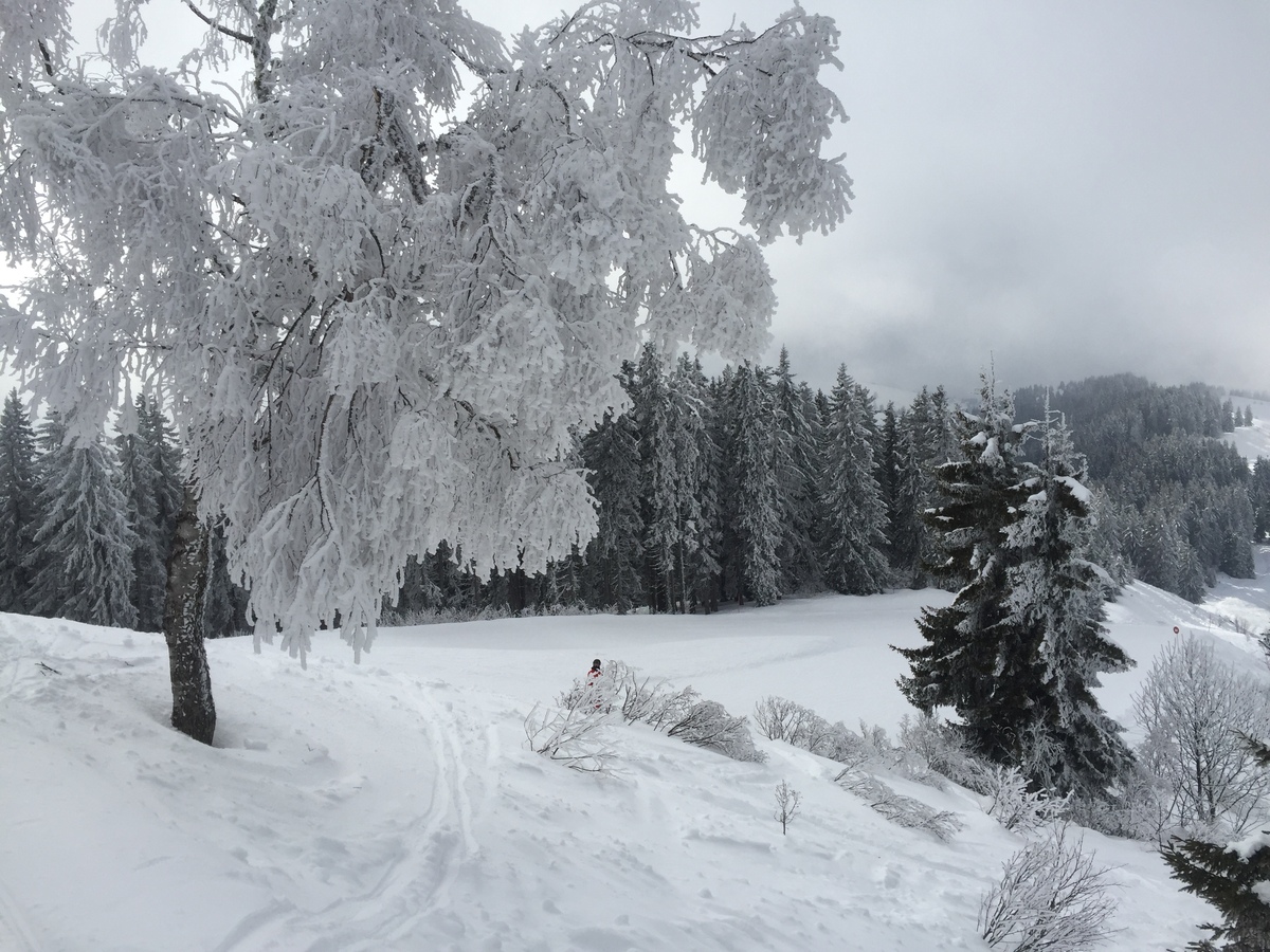 Photo France Megève 2016-02 69