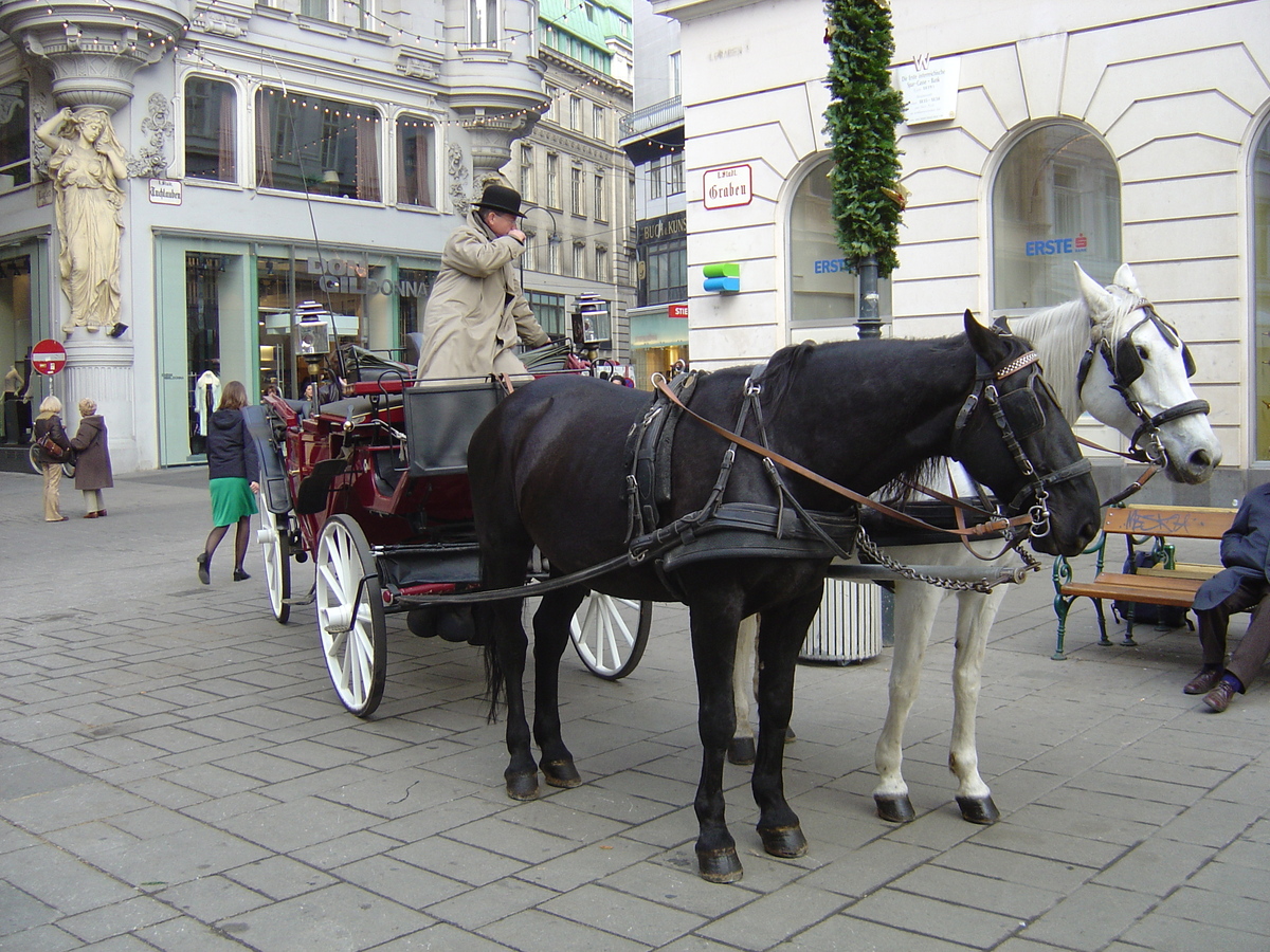 Photo Autriche Vienne 2004-11 104