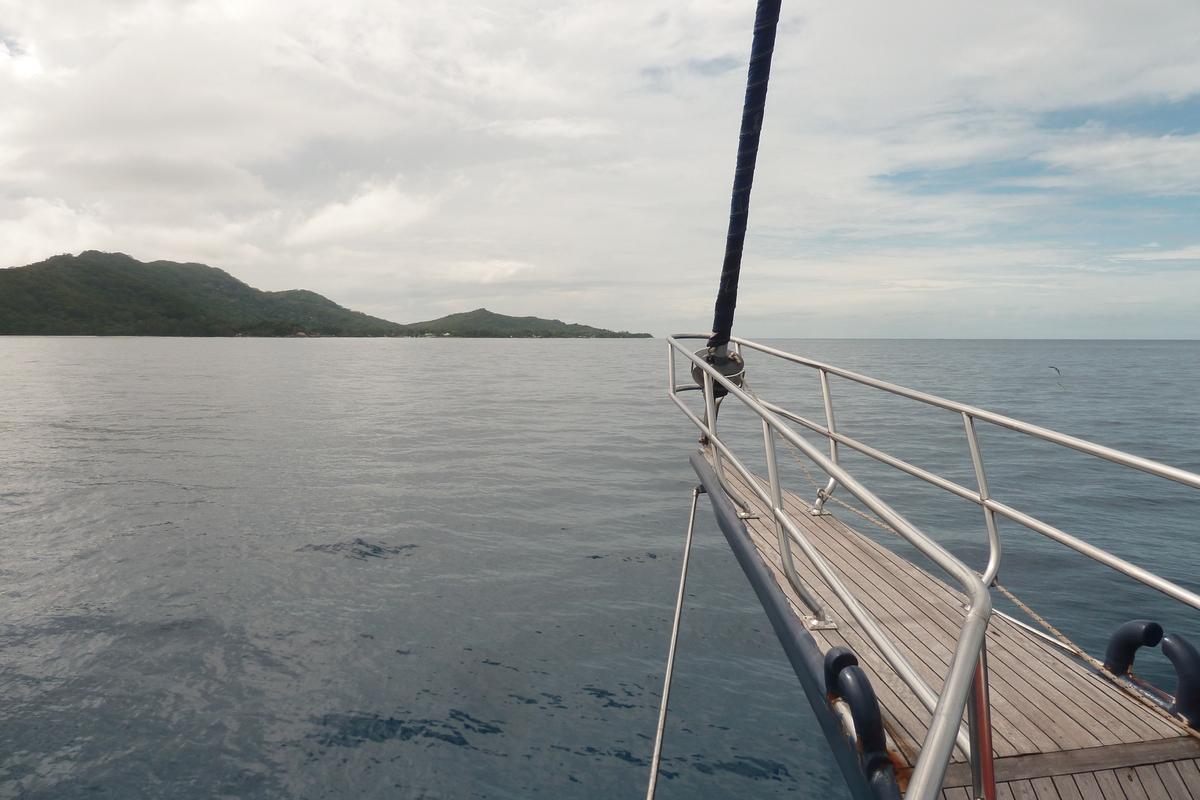 Photo Seychelles Sea Star 2011-10 60