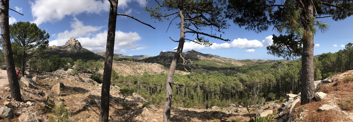 Photo France Corse Forêt de l'Ospedale 2017-09 12