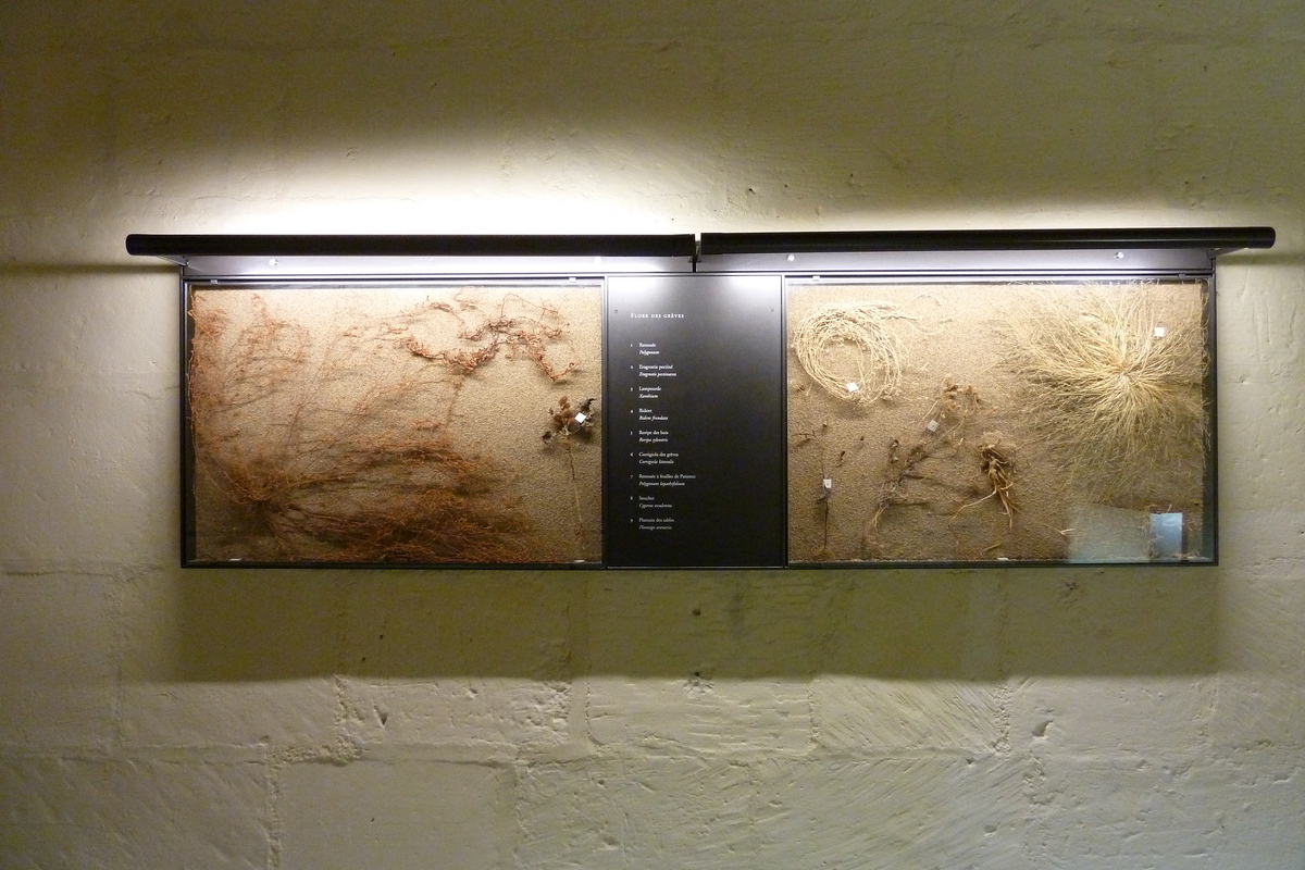 Photo France Château de Montsoreau 2011-05 79