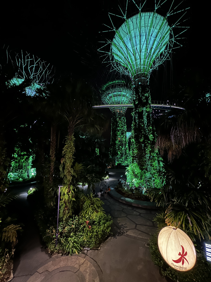 Photo Singapour Garden by the bay 2023-01 13