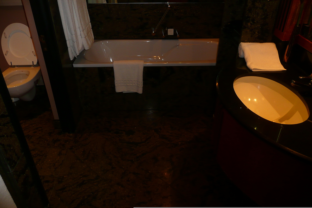 Photo Afrique du Sud Johannesbourg Hotel Intercontinental 2008-09 29