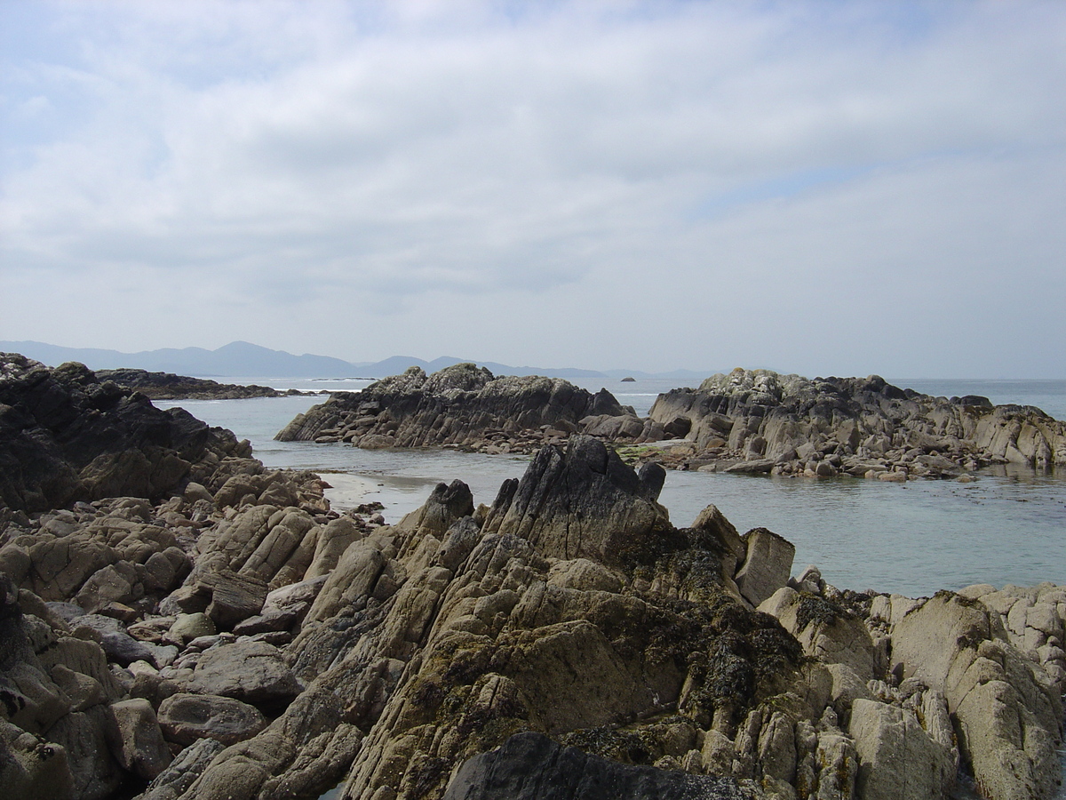 Photo Irlande Kerry Parknasilla 2004-05 29