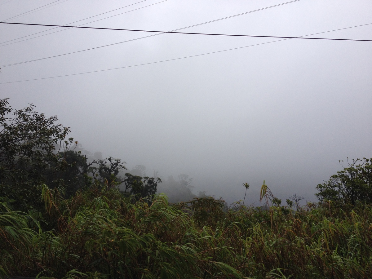Photo Panama David à Bocas del toro 2015-03 71