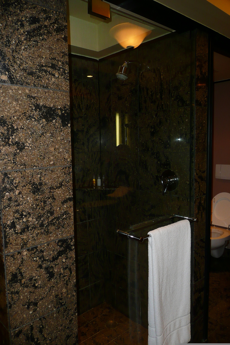 Photo Afrique du Sud Johannesbourg Hotel Intercontinental 2008-09 6