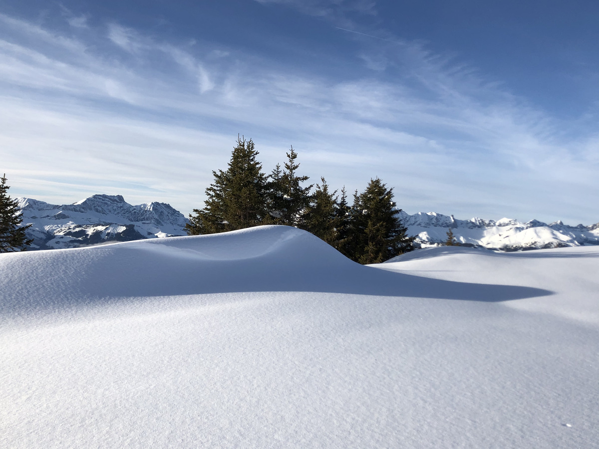 Photo France Praz sur Arly 2019-12 153