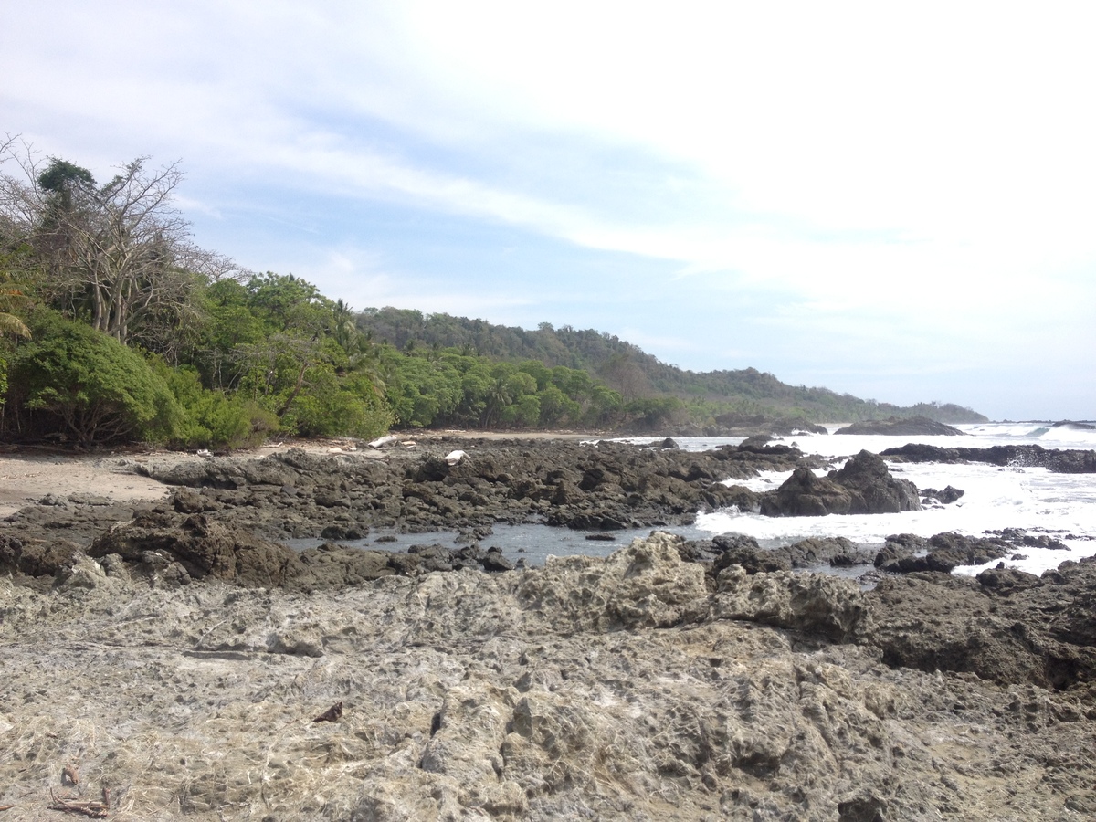 Photo Costa Rica Montezuma 2015-03 190