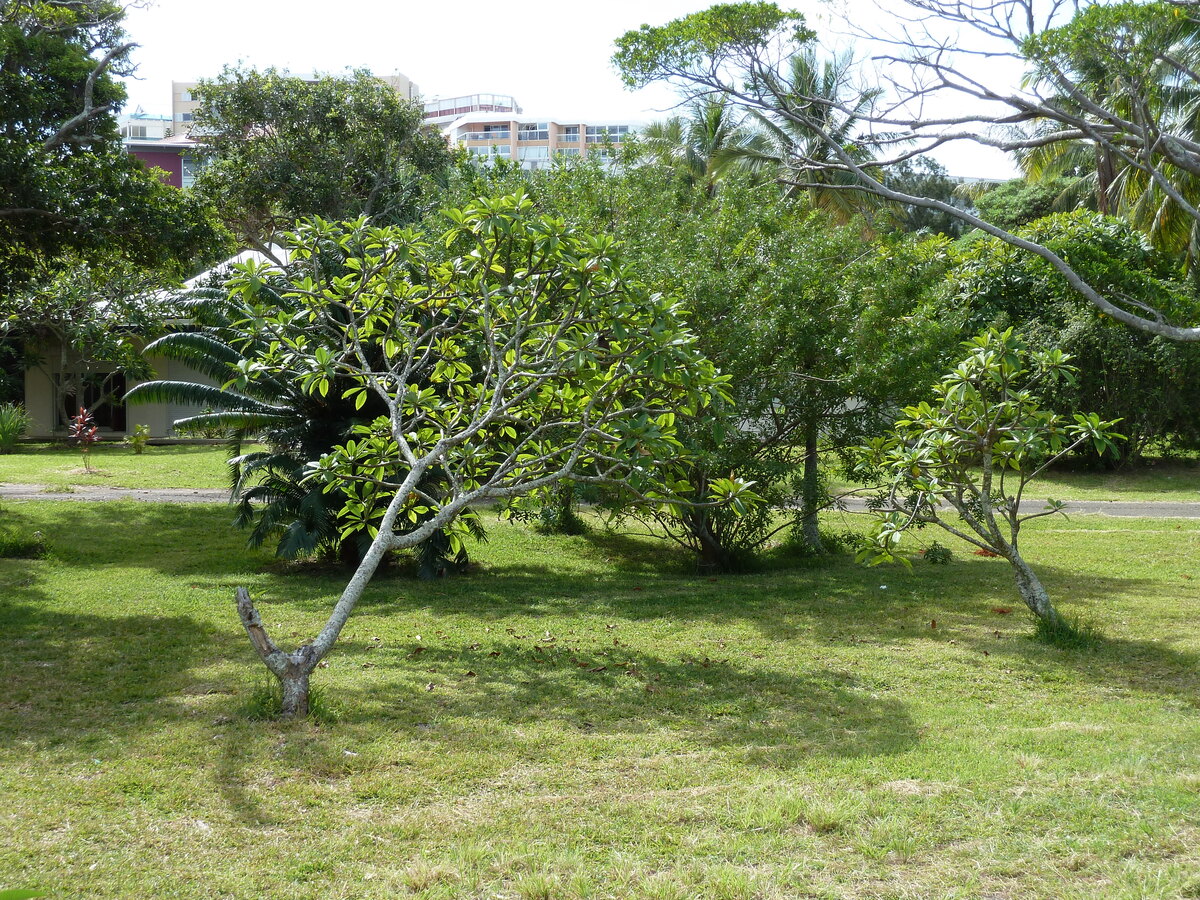Photo Nouvelle-Calédonie Nouméa Anse Vata 2010-05 22