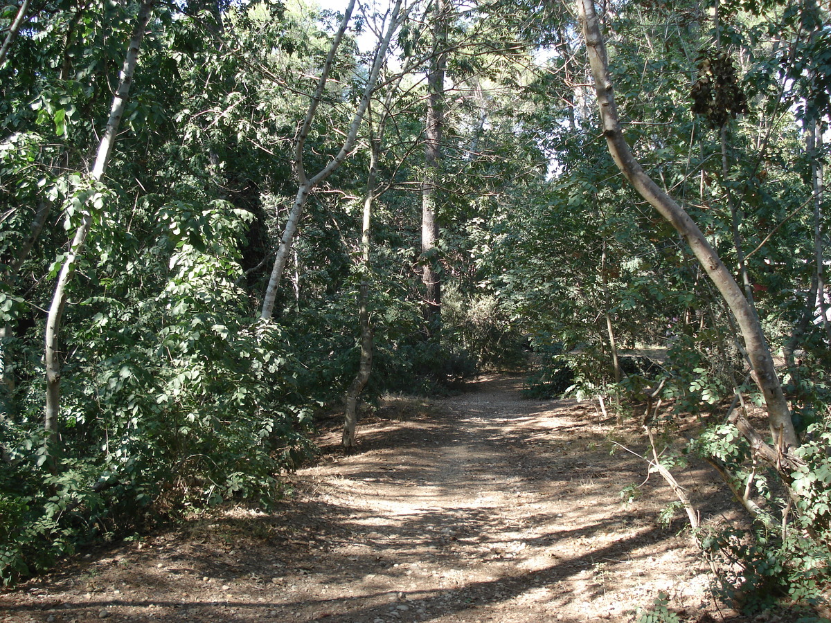 Photo France Villeneuve Loubet Parc de Vaugrenier 2006-09 13