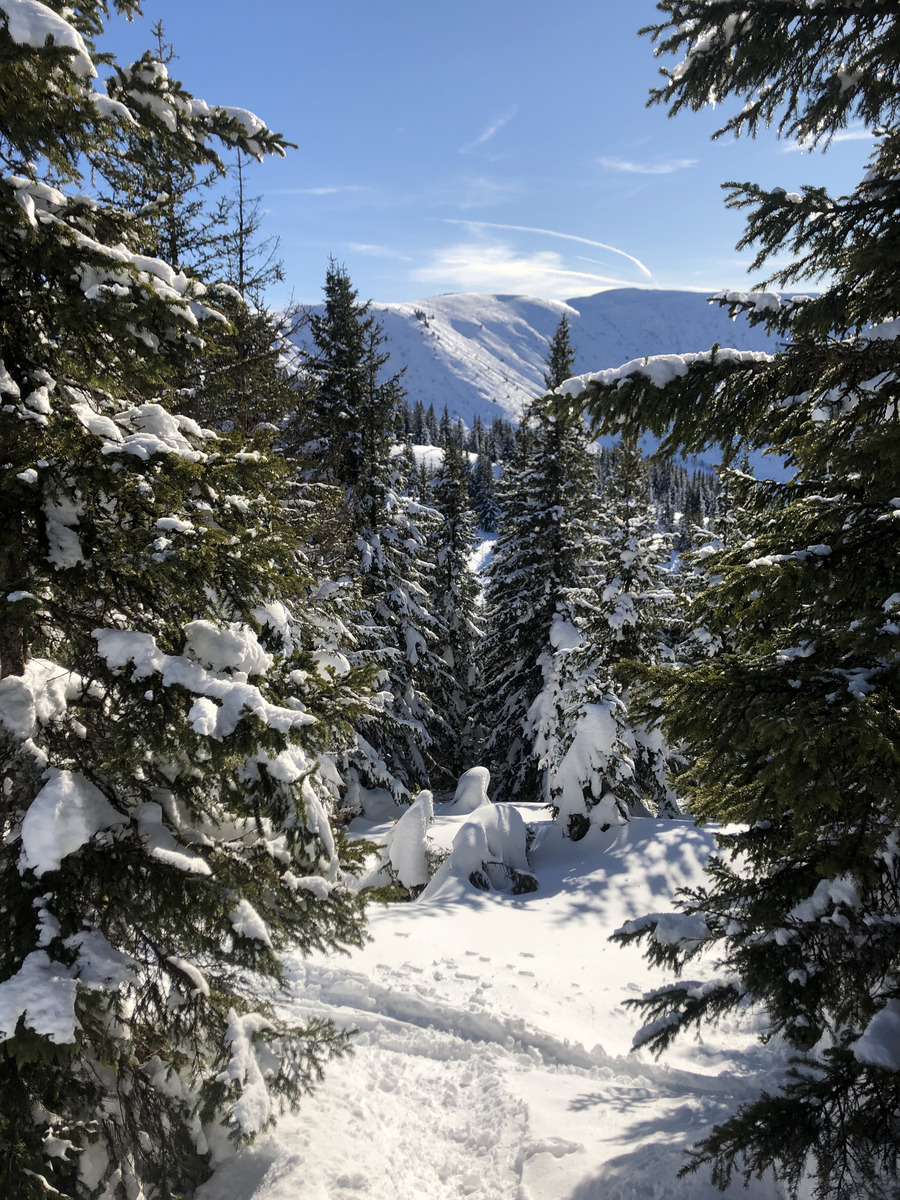 Photo France Praz sur Arly 2019-12 517