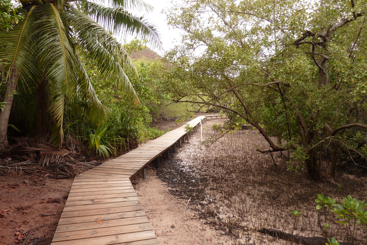 Photo Seychelles Curieuse 2011-10 58