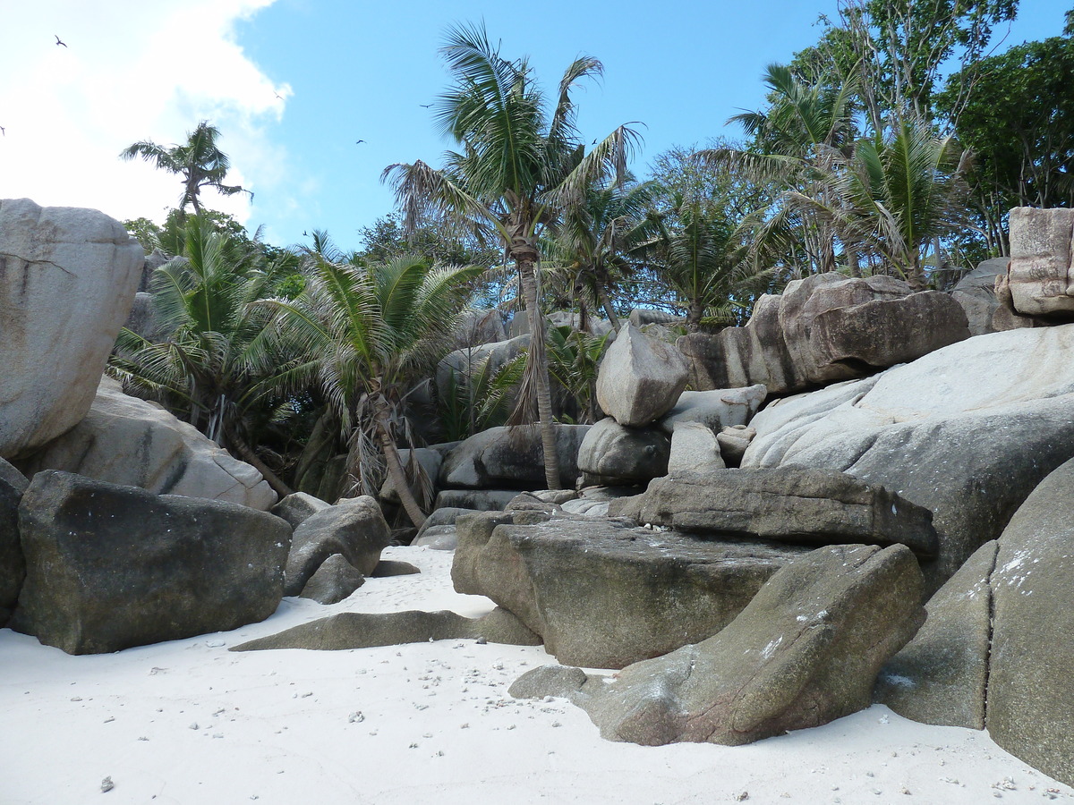 Photo Seychelles Ile Coco 2011-10 71
