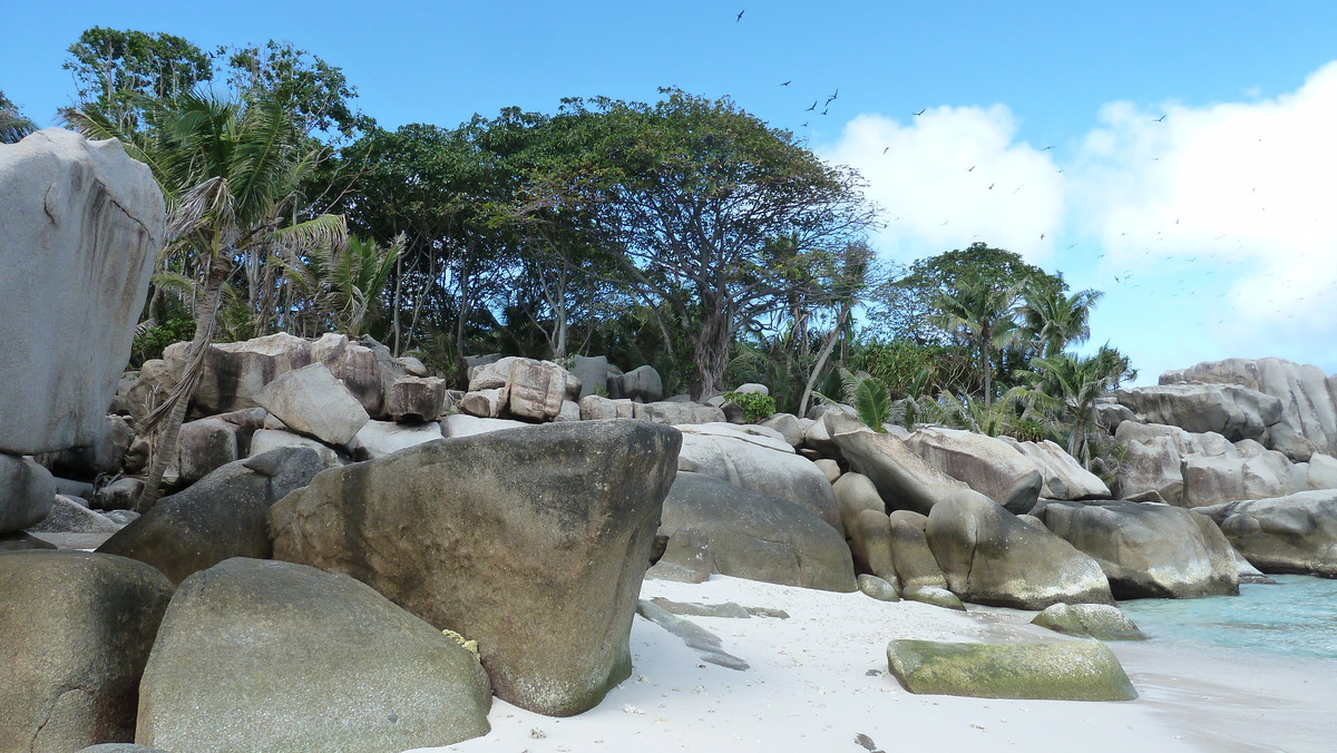 Photo Seychelles Ile Coco 2011-10 85