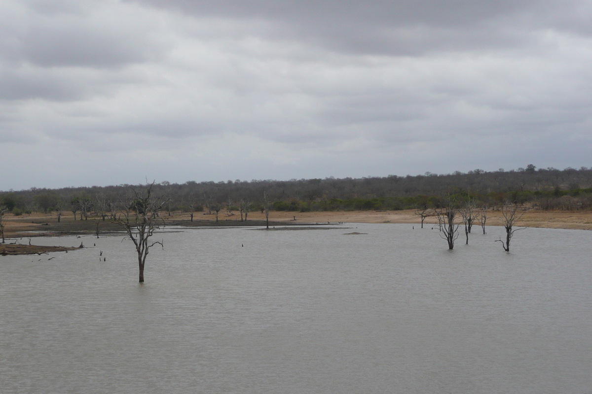 Photo Afrique du Sud Parc National Kruger Mpondo 2008-09 8