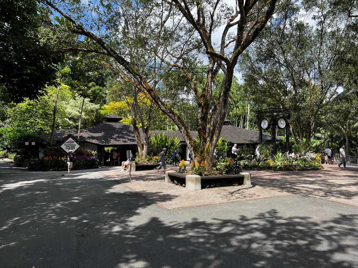 Photo Singapour Jardins botaniques de Singapore 2023-01 61