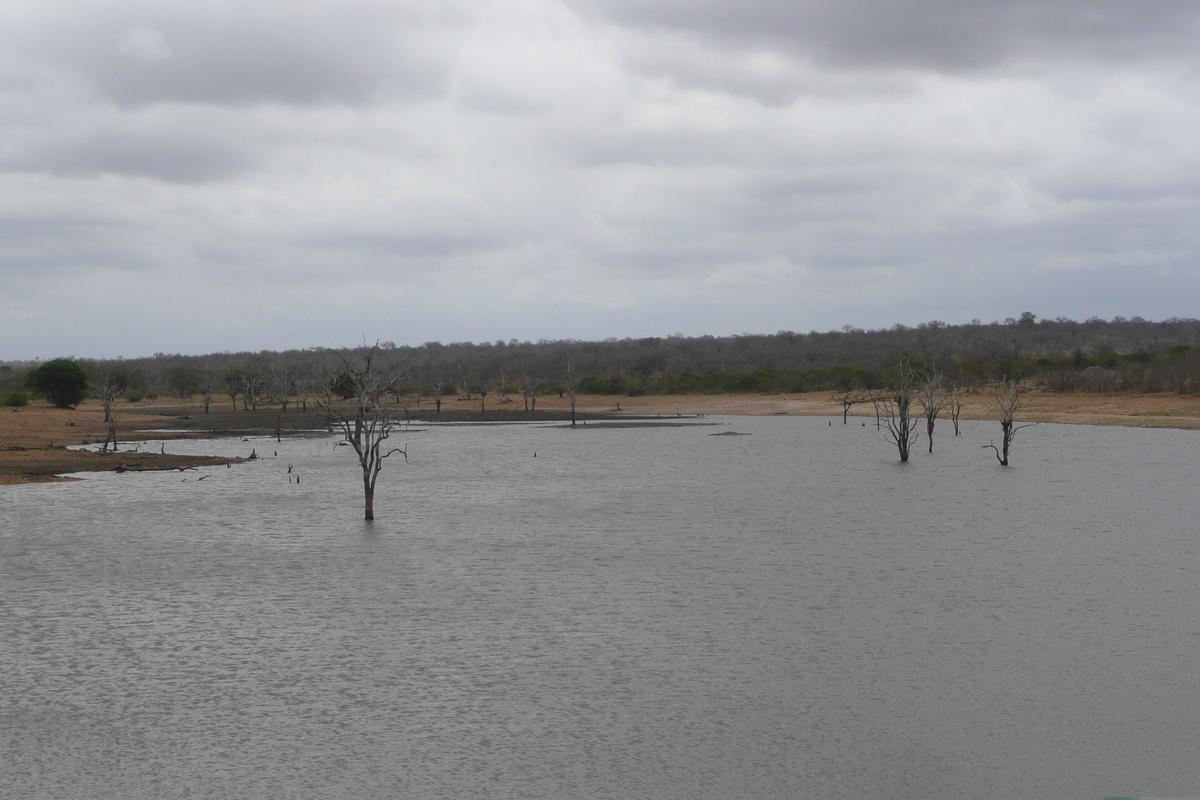 Photo Afrique du Sud Parc National Kruger Mpondo 2008-09 15