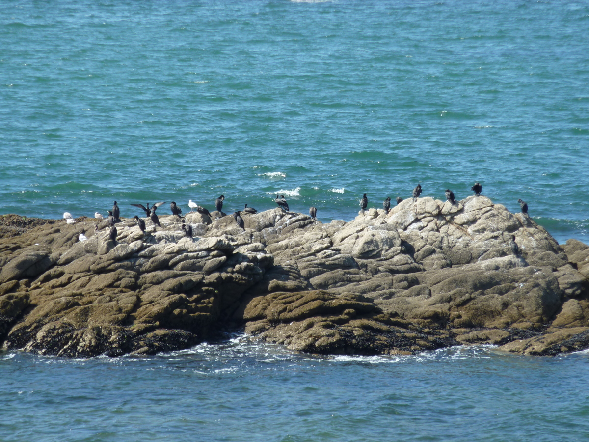 Photo France Piriac sur mer 2009-08 18