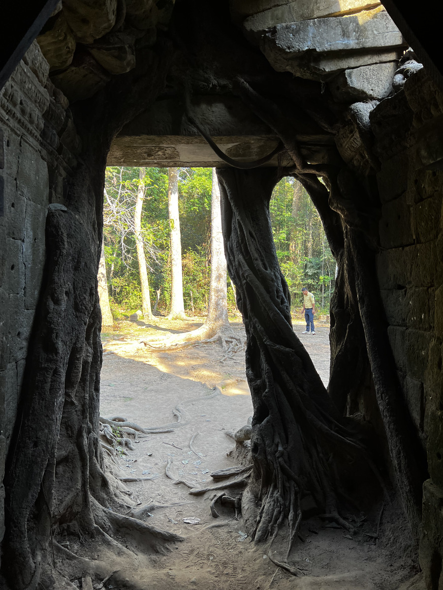 Photo Cambodge Siem Reap Ta Som 2023-01 17