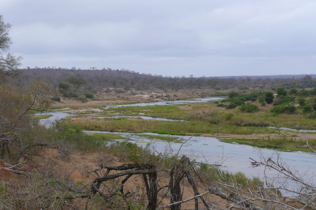 Photo Afrique du Sud Parc National Kruger rivière Crocodile 2008-09 54