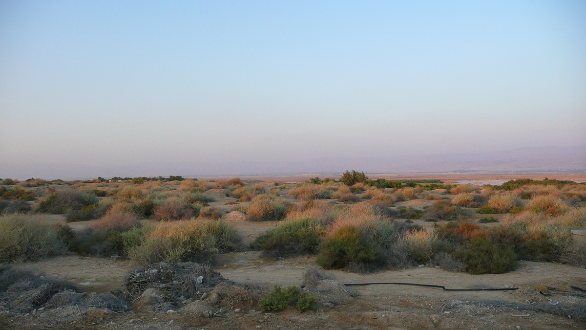 Photo Israel Mer Morte 2007-06 131