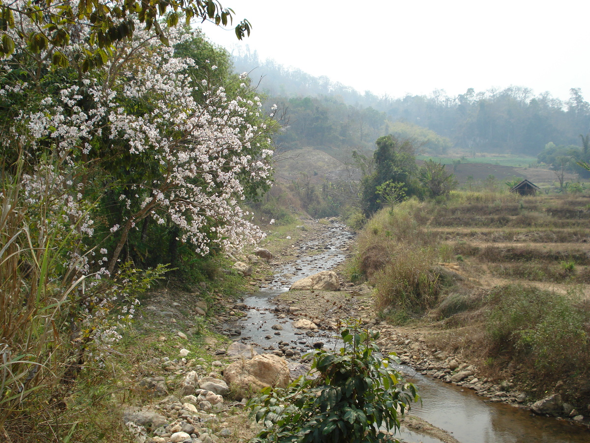 Photo Thaïlande Route de Pang Mapha à Pai 2007-02 11