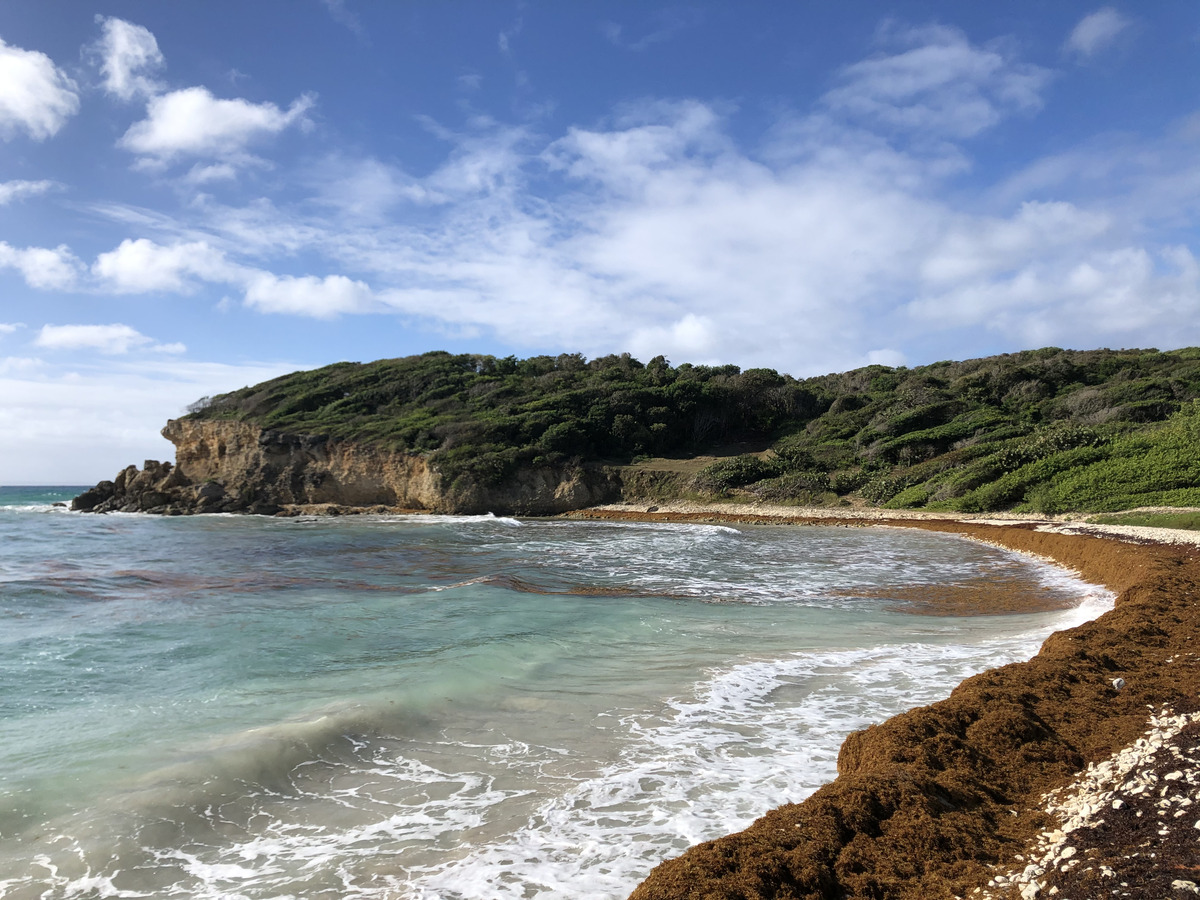 Photo Guadeloupe Sainte Anne 2021-02 12