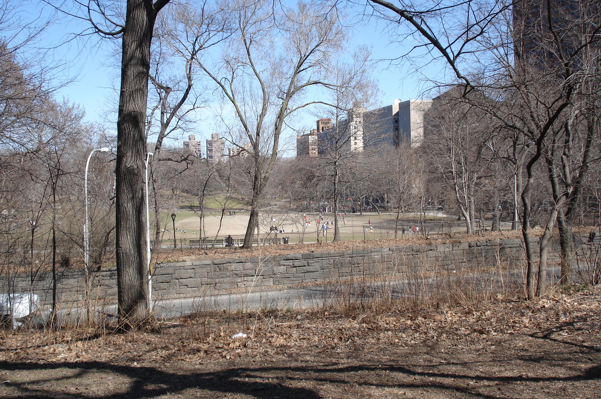 Photo États-Unis New York Central Park 2006-03 68