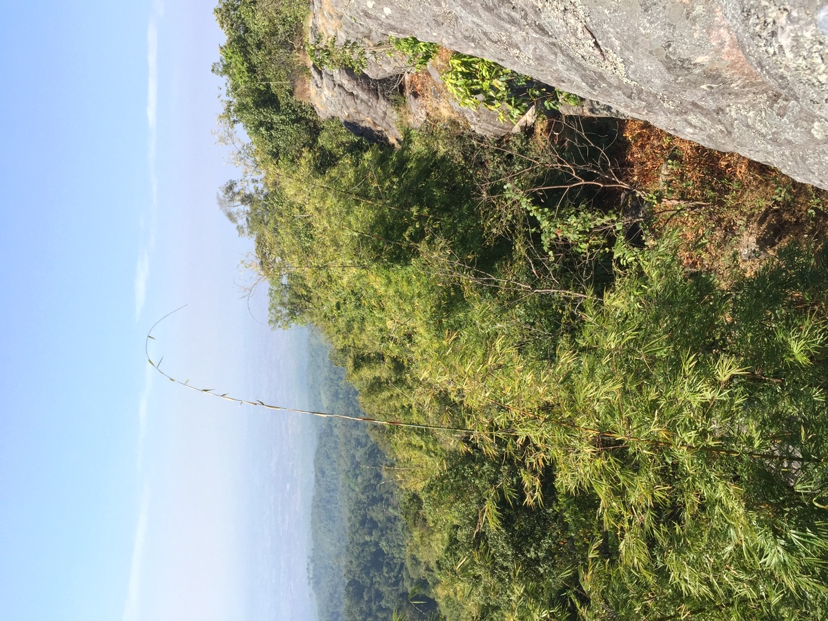 Photo Thaïlande Parc National Phu Hin Rong Kla 2014-12 170