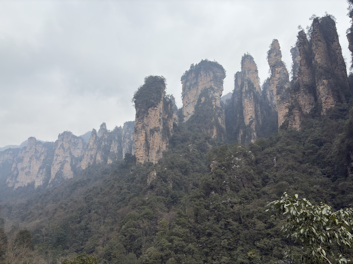 Photo Chine Zhangjiajie 2026-01 86