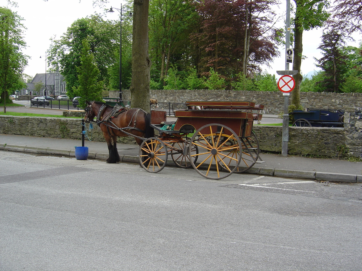 Photo Irlande Kerry Killarney 2004-05 3