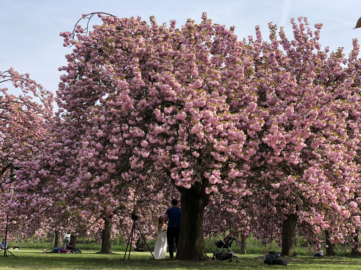 Photo France Parc de Sceaux 2019-04 31