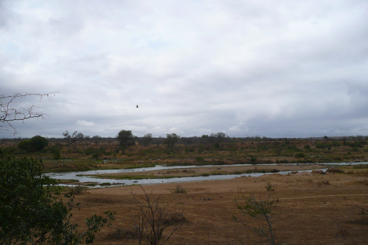 Photo Afrique du Sud Parc National Kruger rivière Crocodile 2008-09 72
