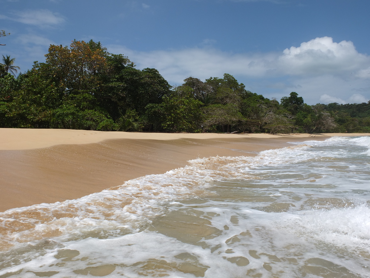 Photo Panama Bastimentos 2015-03 60