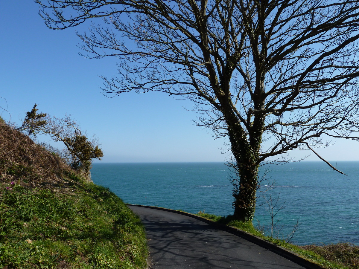 Photo Jersey 2010-04 185
