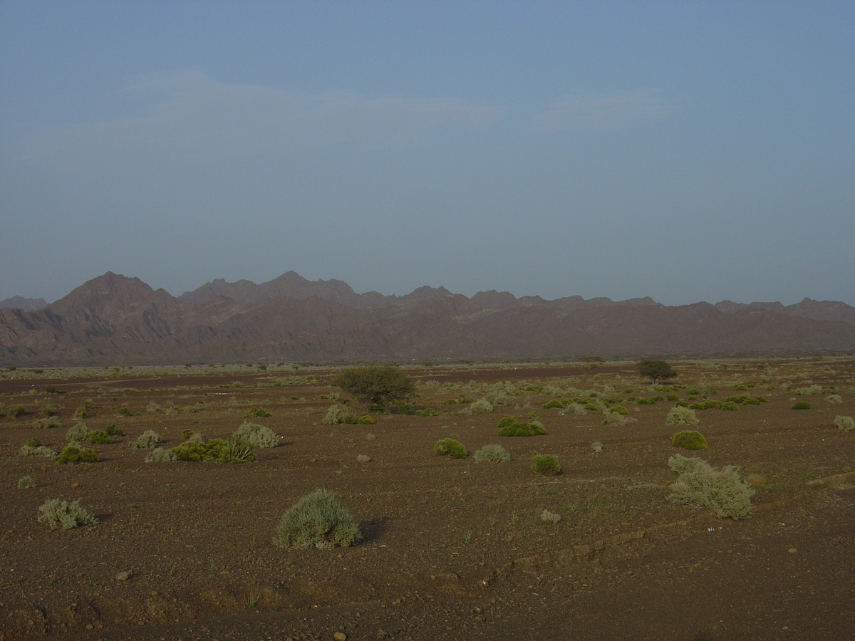 Photo Oman Route de Buraimi à Mahada 2005-03 24
