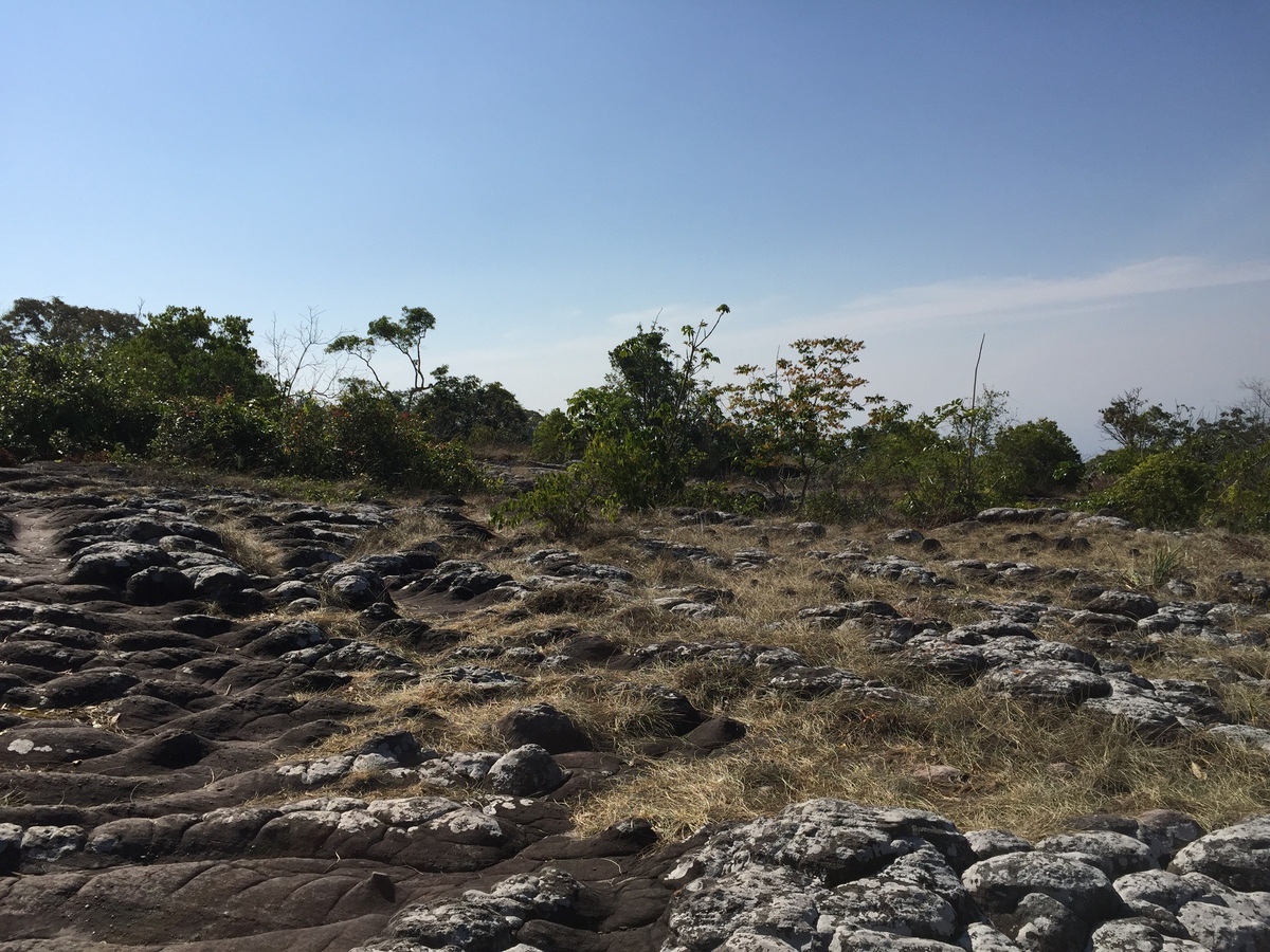 Photo Thaïlande Parc National Phu Hin Rong Kla 2014-12 11