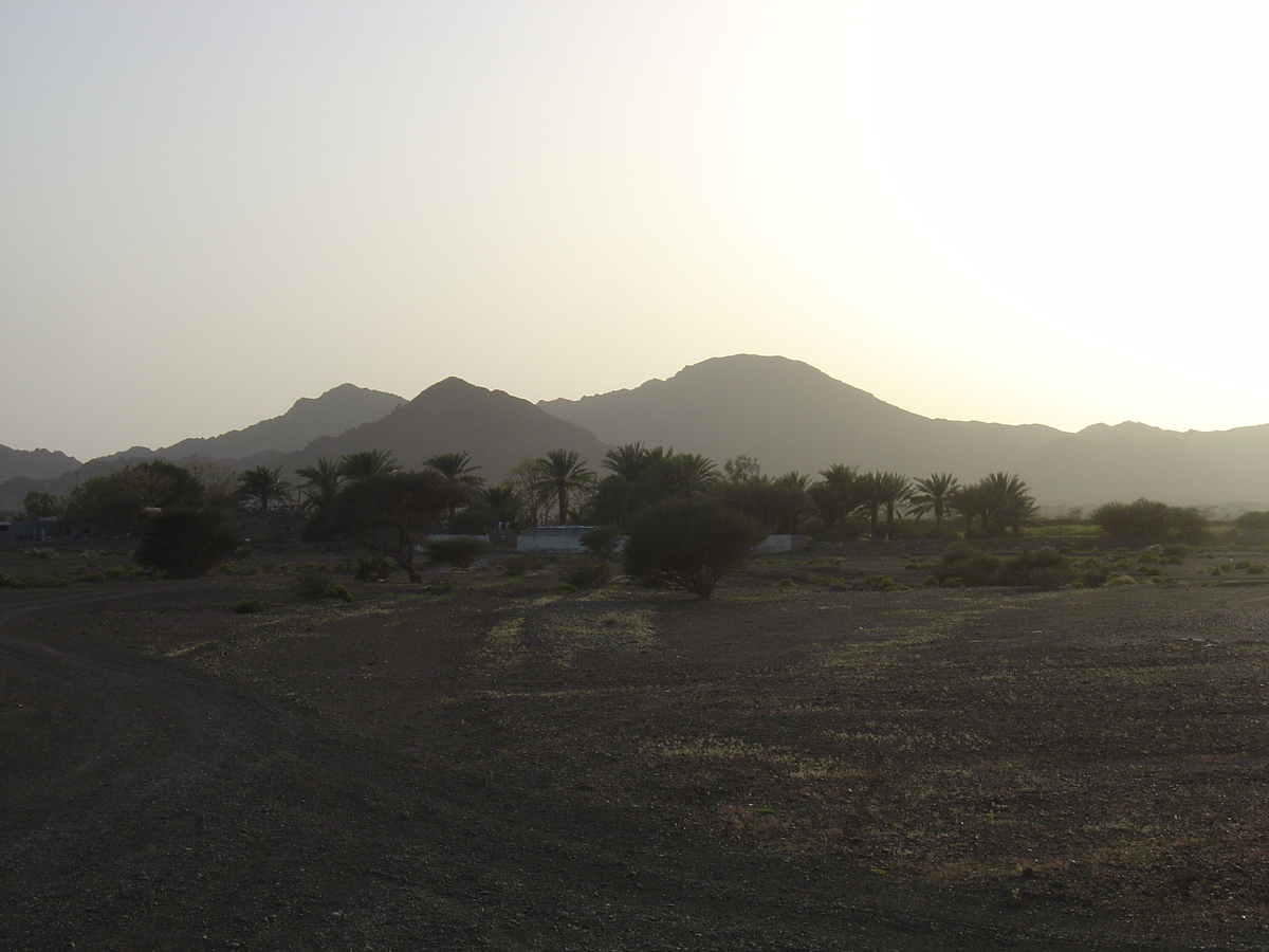 Photo Oman Route de Buraimi à Mahada 2005-03 20