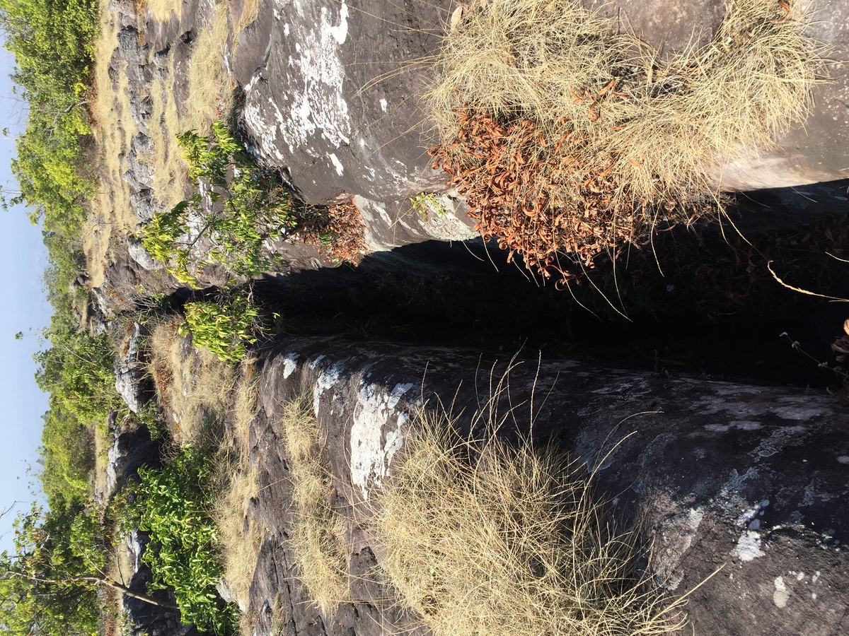 Photo Thaïlande Parc National Phu Hin Rong Kla 2014-12 43