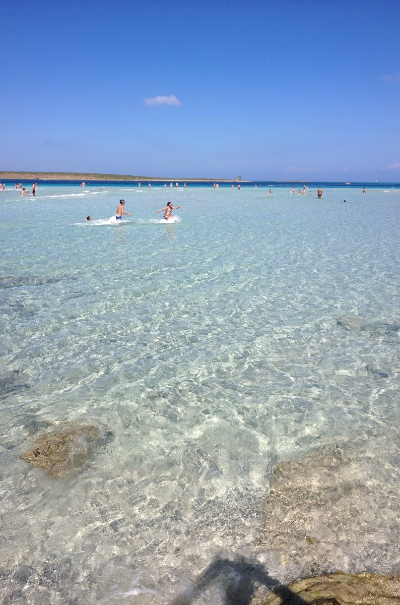 Photo Italie Sardaigne Capo del Falcone 2015-06 54