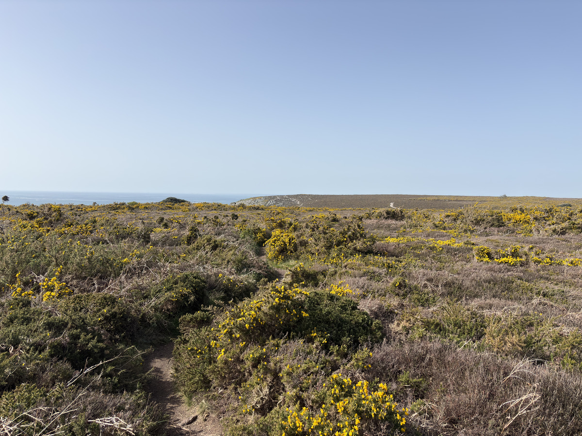 Photo France Crozon Cap de la Chèvre 2026-04 15