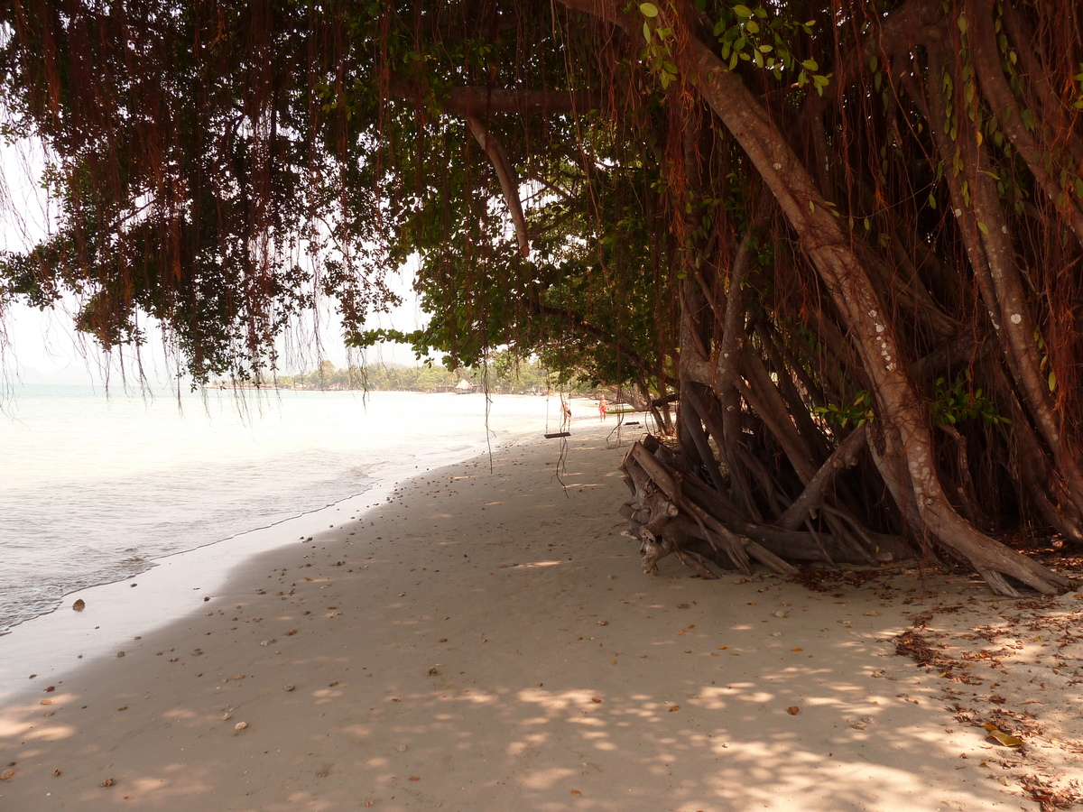 Photo Thaïlande Ko Chang Plage de Klong Prao 2011-02 102